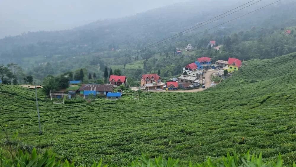 Illam
