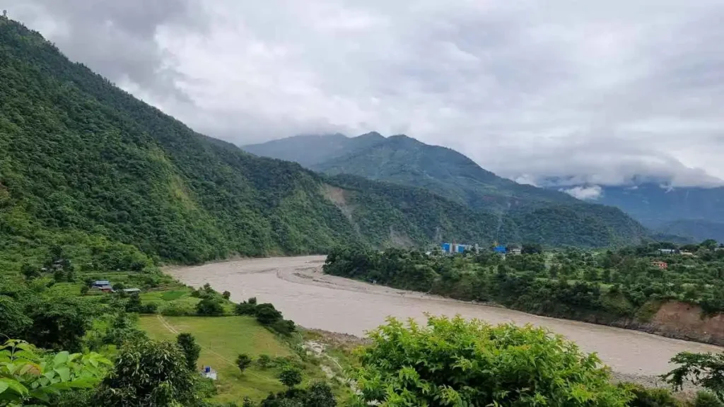 Kurintar